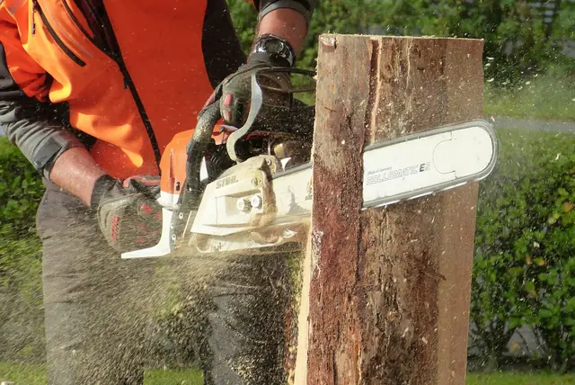 Chainsaw cutting a log