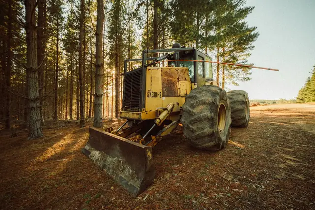 Heavy equipment in a pine forest clearing