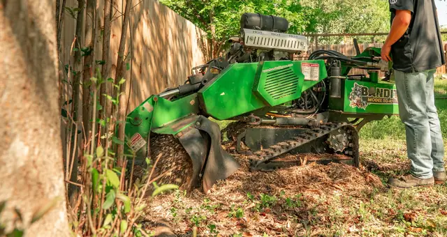 Green stump grinder working on a stump beside a wooden fence