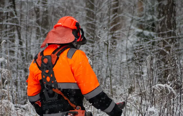 Arborist in orange safety gear in the woods